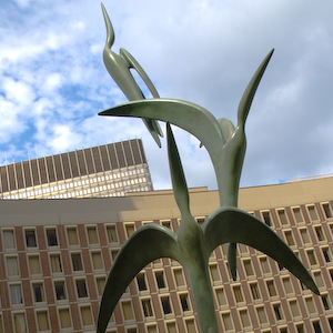 65-BAC 1X1-Garden of Peace